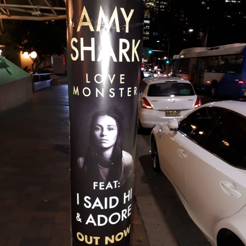 Street Promotions Pole Posters Amy Shark